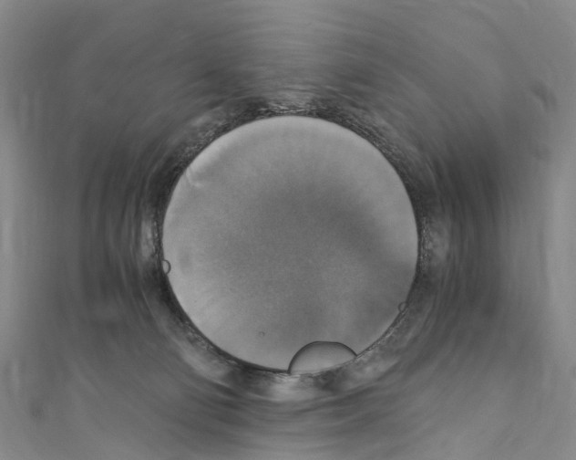 X0000110710130200907241153