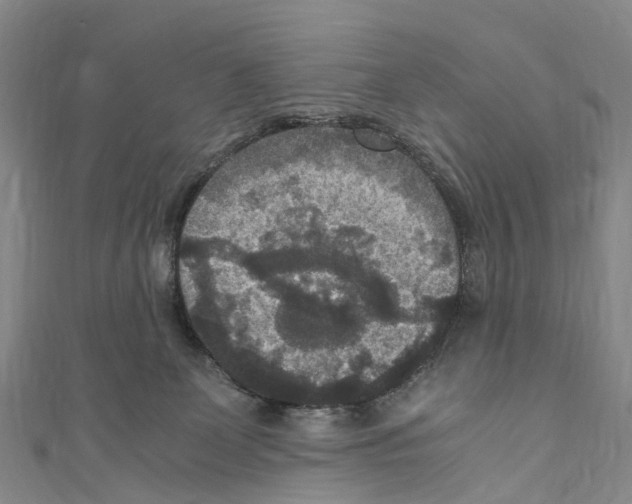X0000110710131200907241153