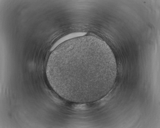 X0000110710132200907241153