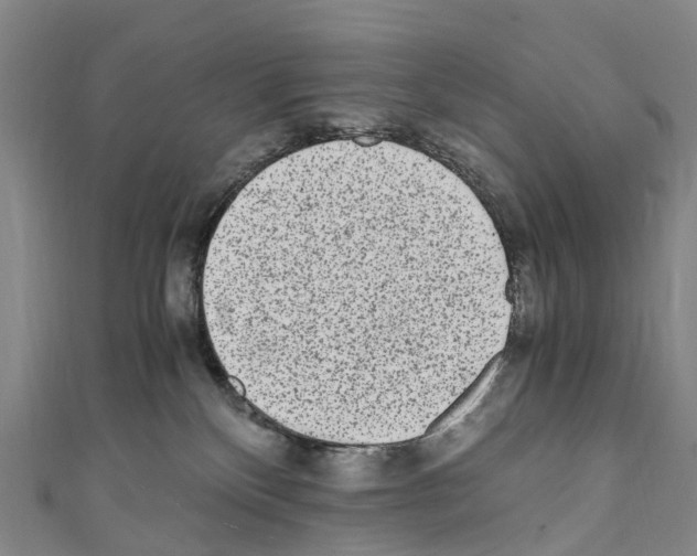 X0000110710136200907241153