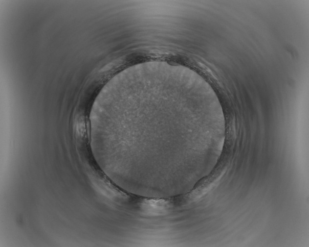 X0000110710137200907241153