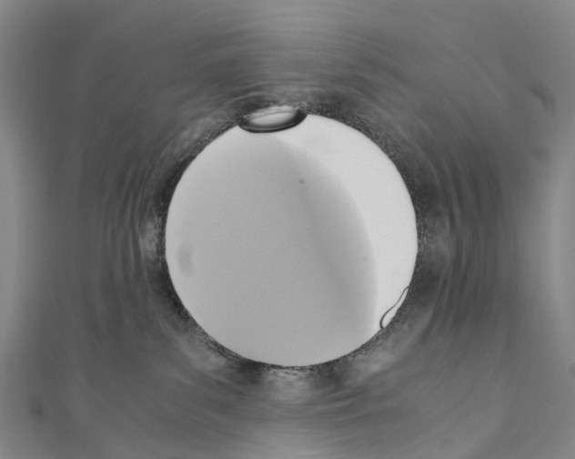 X0000110710139200907241153