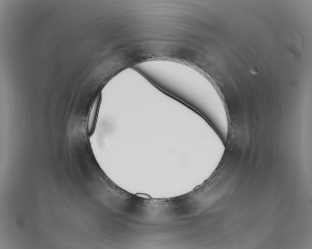 X0000110710141200907241153