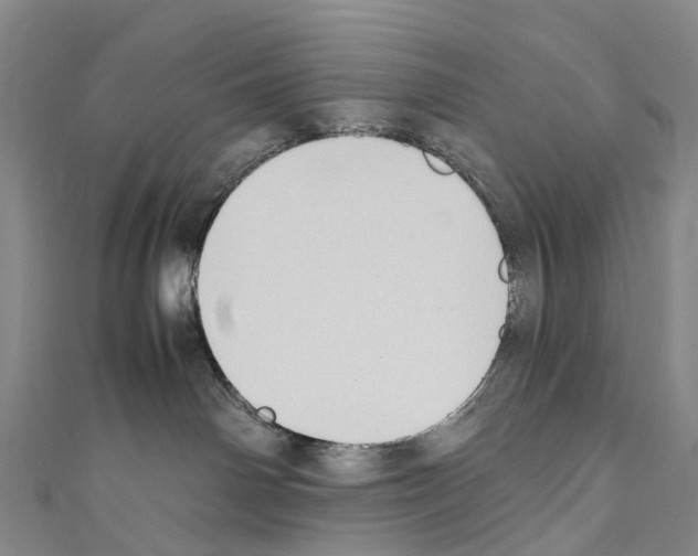 X0000110710142200907241153