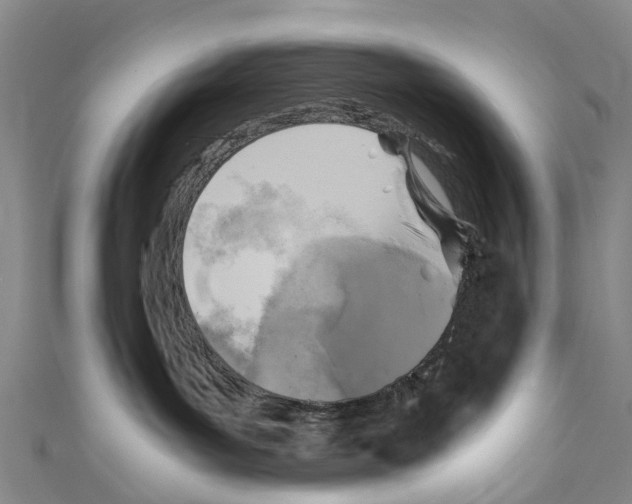 X0000110710143200907241153