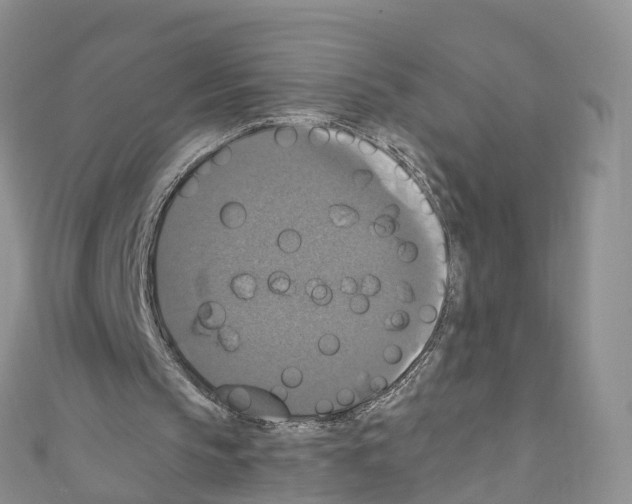 X0000110710145200907241152