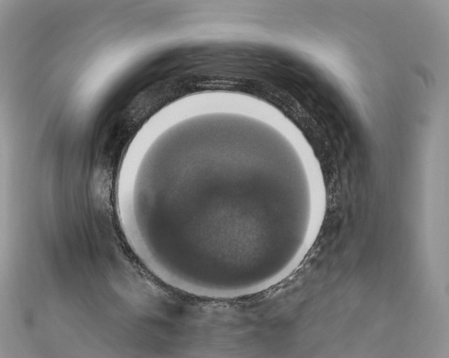 X0000110710146200907241152