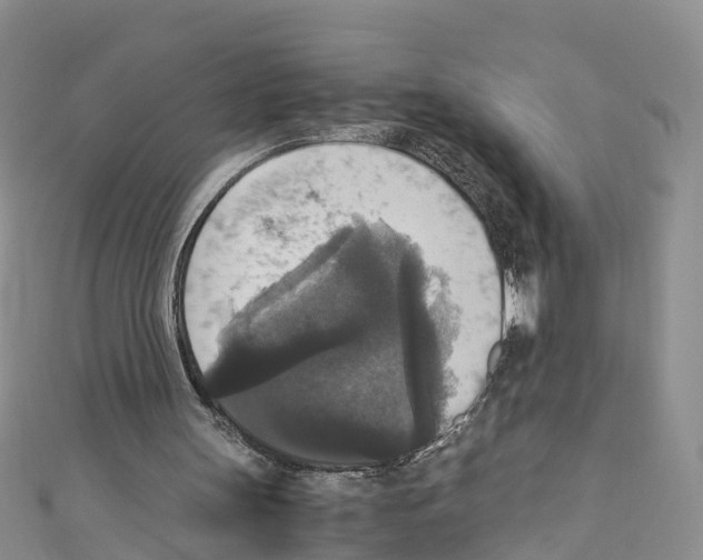 X0000110710147200907241152