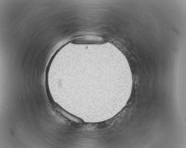 X0000110710148200907241153