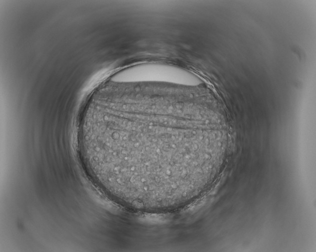 X0000110710149200907241153