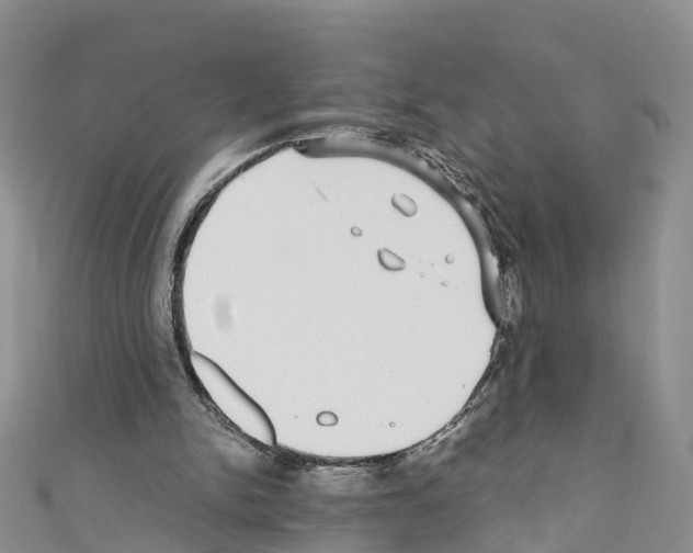 X0000110710150200907241153