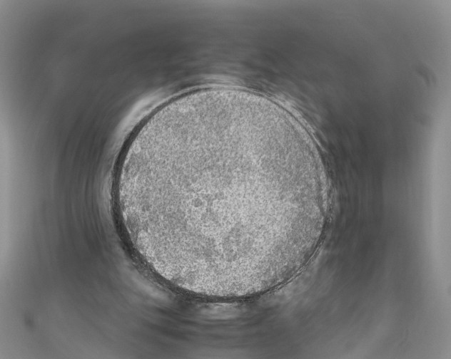 X0000110710151200907241153