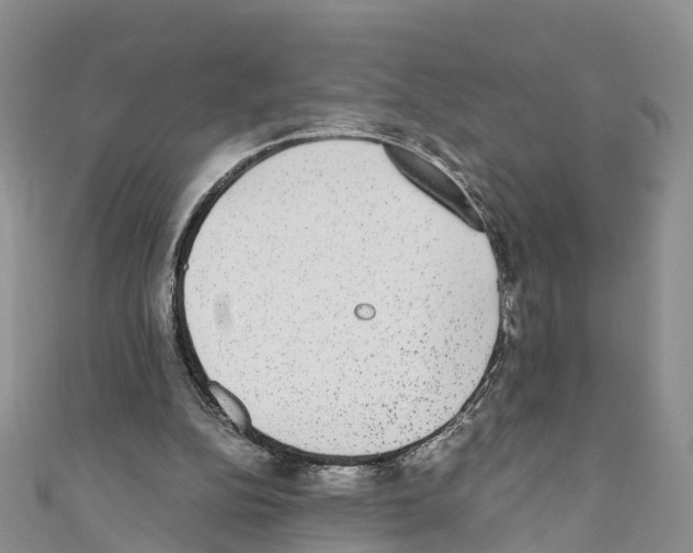 X0000110710152200907241153