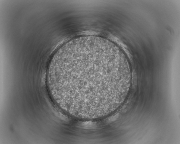 X0000110710153200907241153