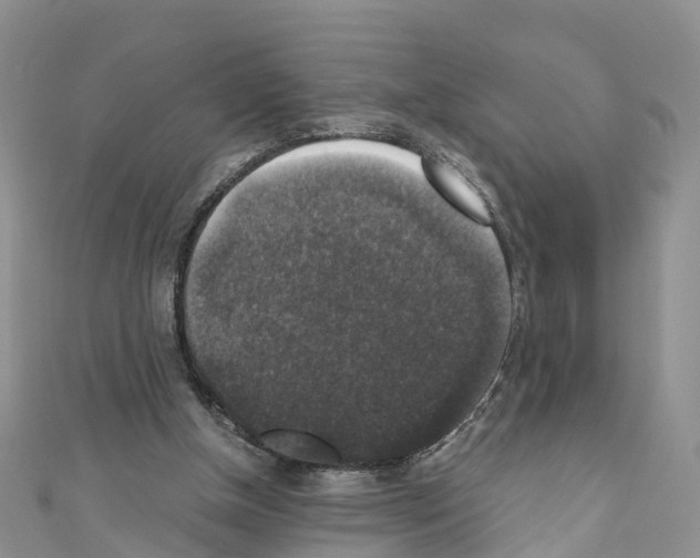 X0000110710154200907241153