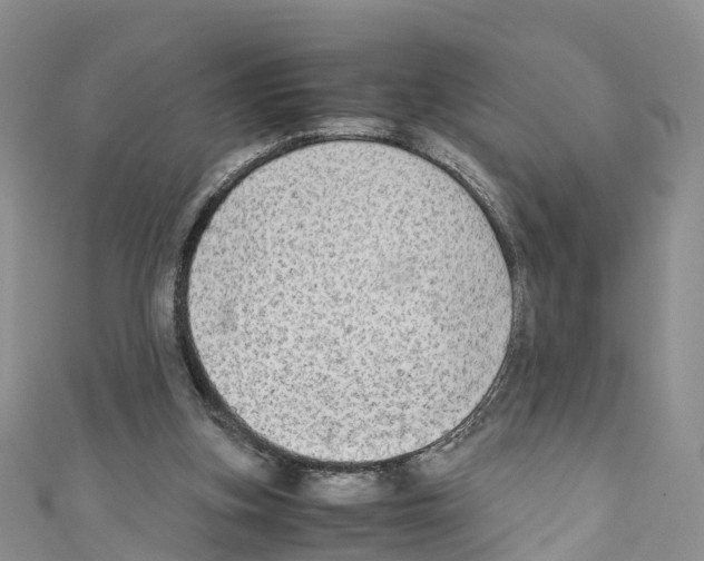 X0000110710155200907241153