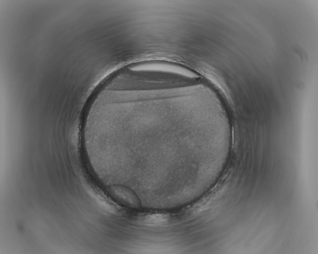 X0000110710156200907241153