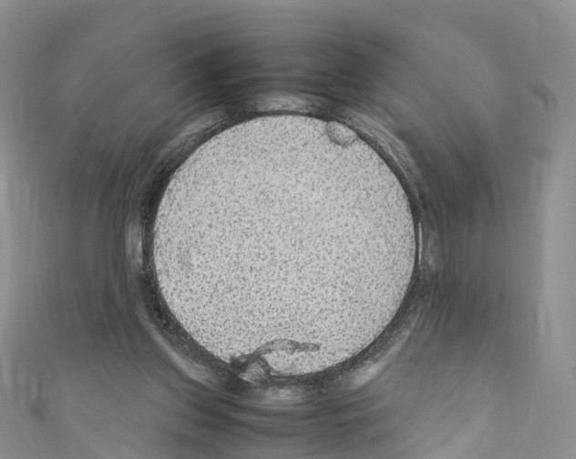 X0000110710157200907241153