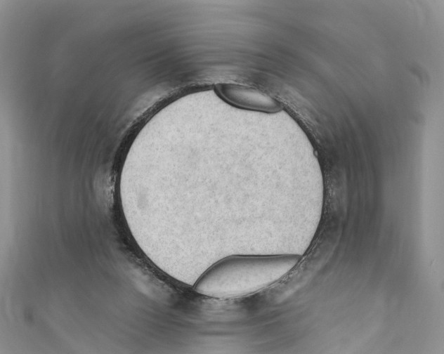 X0000110710160200907241153