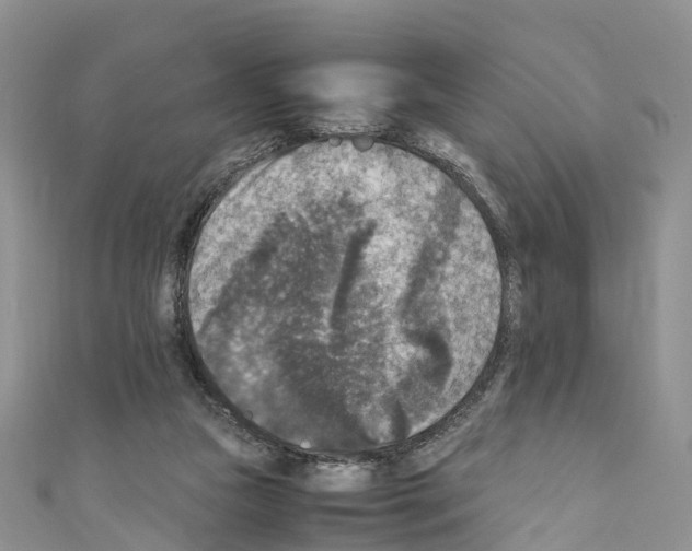 X0000110710161200907241153