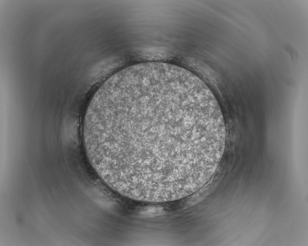 X0000110710162200907241153