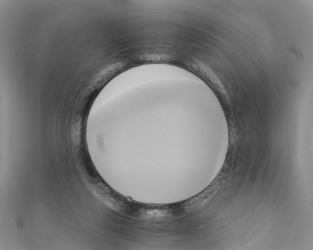 X0000110710163200907241153