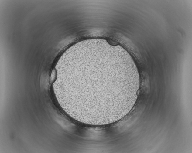 X0000110710164200907241153