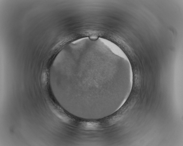 X0000110710165200907241153