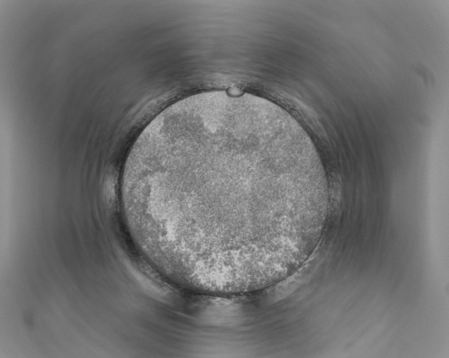 X0000110710166200907241153