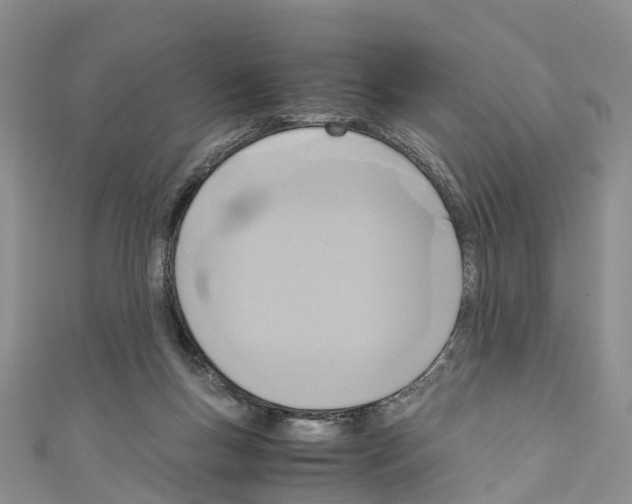 X0000110710167200907241153