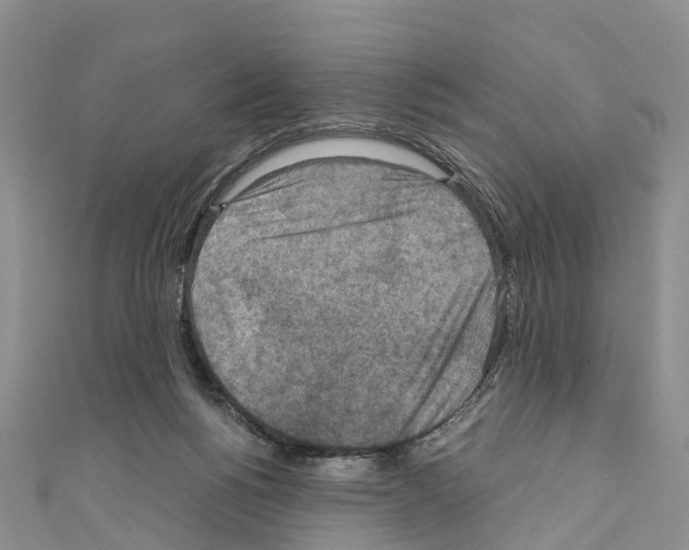 X0000110710168200907241153