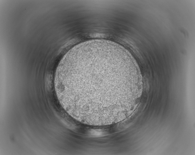 X0000110710171200907241153