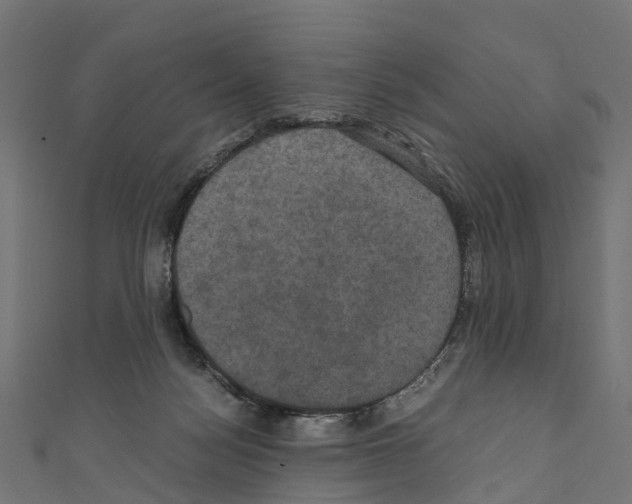 X0000110710172200907241153