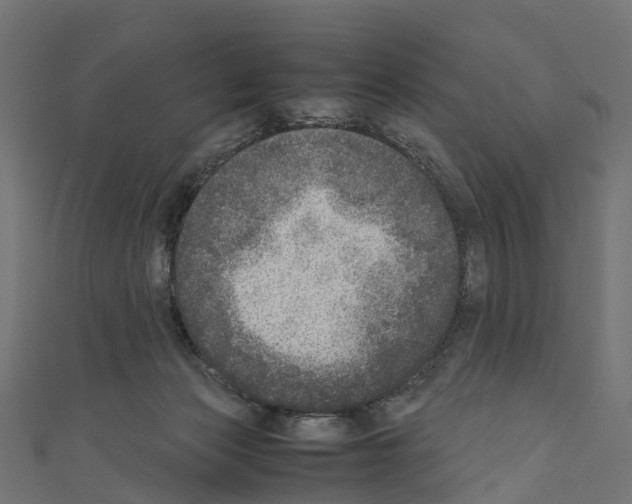 X0000110710173200907241153