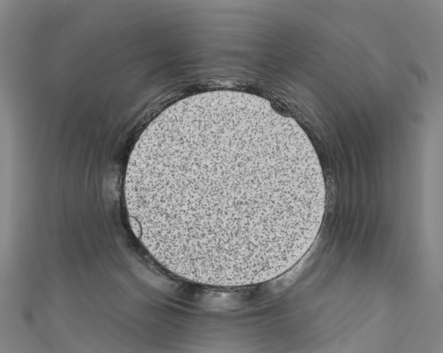 X0000110710174200907241153