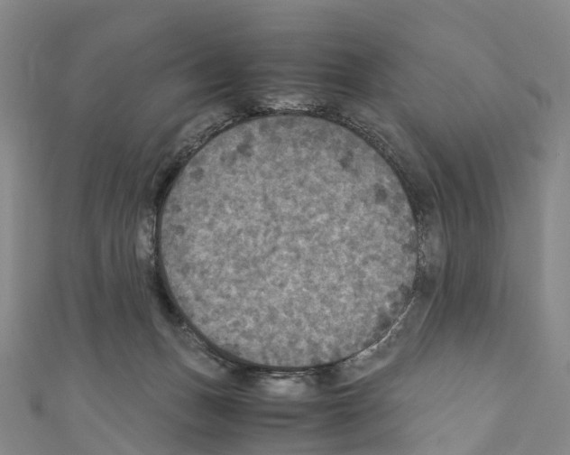 X0000110710175200907241153