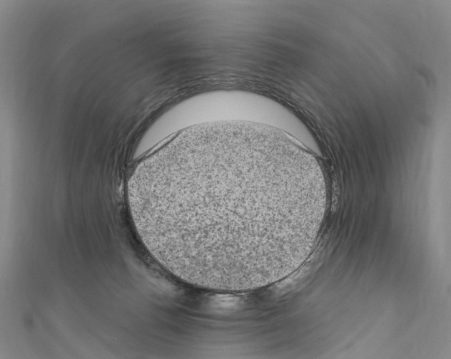 X0000110710176200907241153