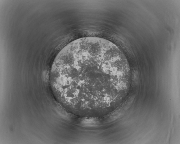 X0000110710177200907241153