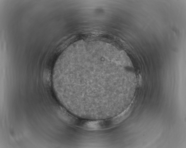 X0000110710178200907241153