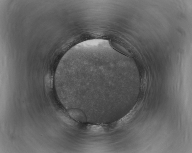 X0000110710180200907241153