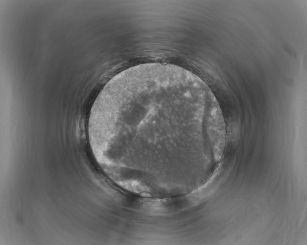 X0000110710182200907241153