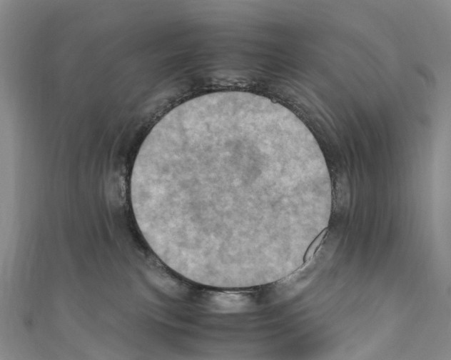 X0000110710183200907241153
