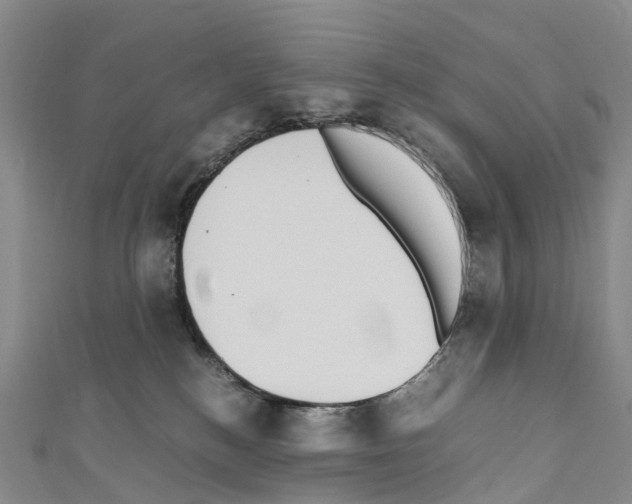 X0000110710184200907241153