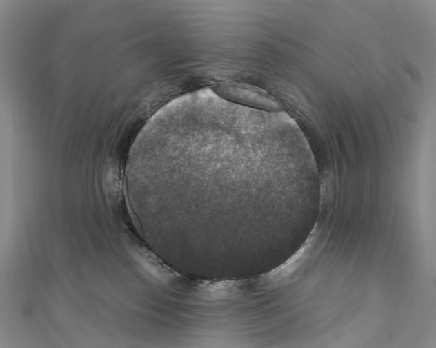 X0000110710186200907241153