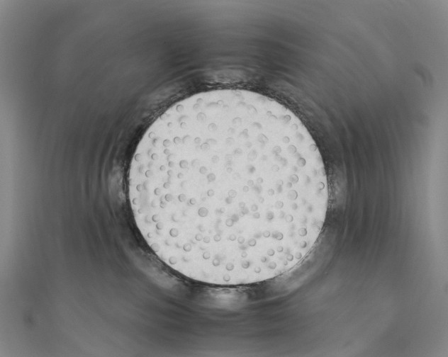X0000110710187200907241153