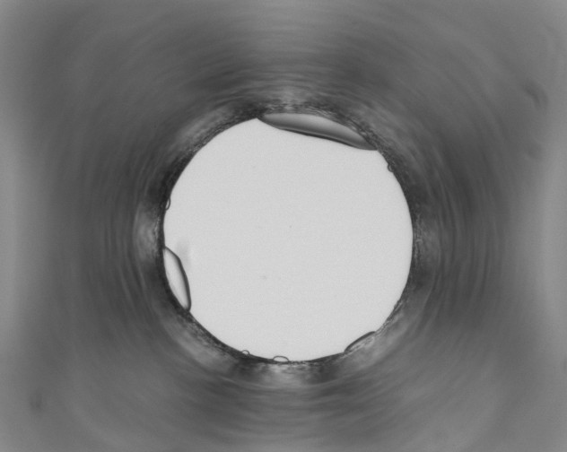 X0000110710188200907241153