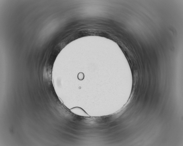 X0000110710190200907241153