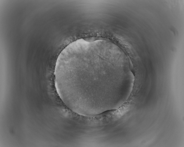 X0000110710192200907241153