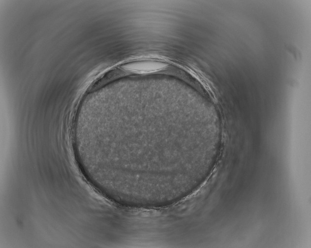 X0000110710193200907241152