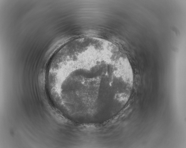 X0000110710194200907241152